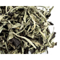 Premium Air-Dried Yue Guang Bai Yunnan White Moonlight Beauty Ancient Tree Green Loose Leaf Puer tea